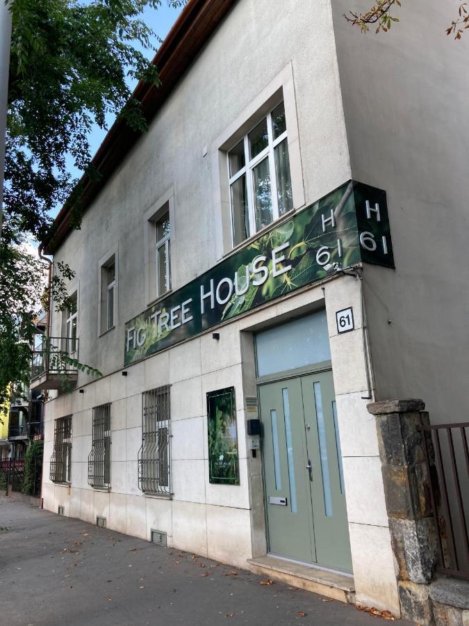 Fig Tree House Διαμέρισμα Βουδαπέστη Εξωτερικό φωτογραφία